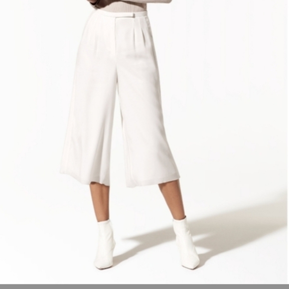 Aritzia Lazarus Pants - Picture 11 of 12